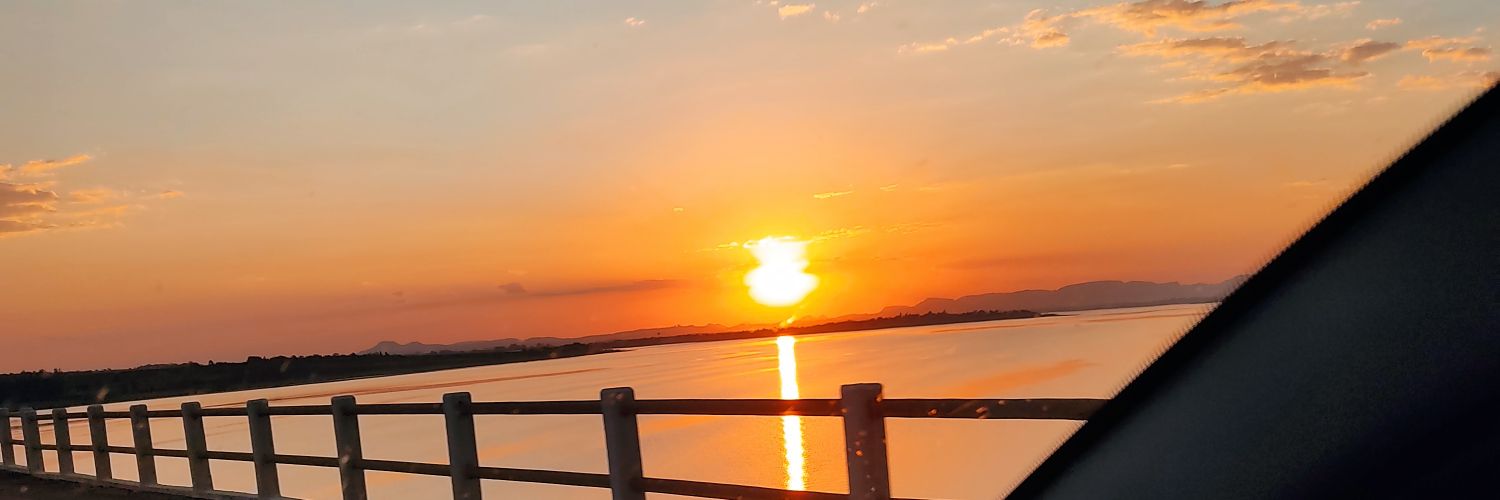 leandro g. banner