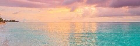 ericamichell3's profile banner image