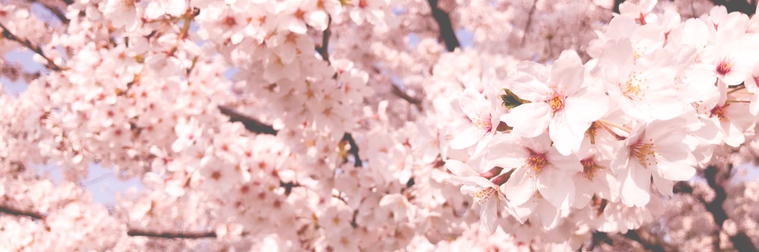 ratti0705's profile banner image