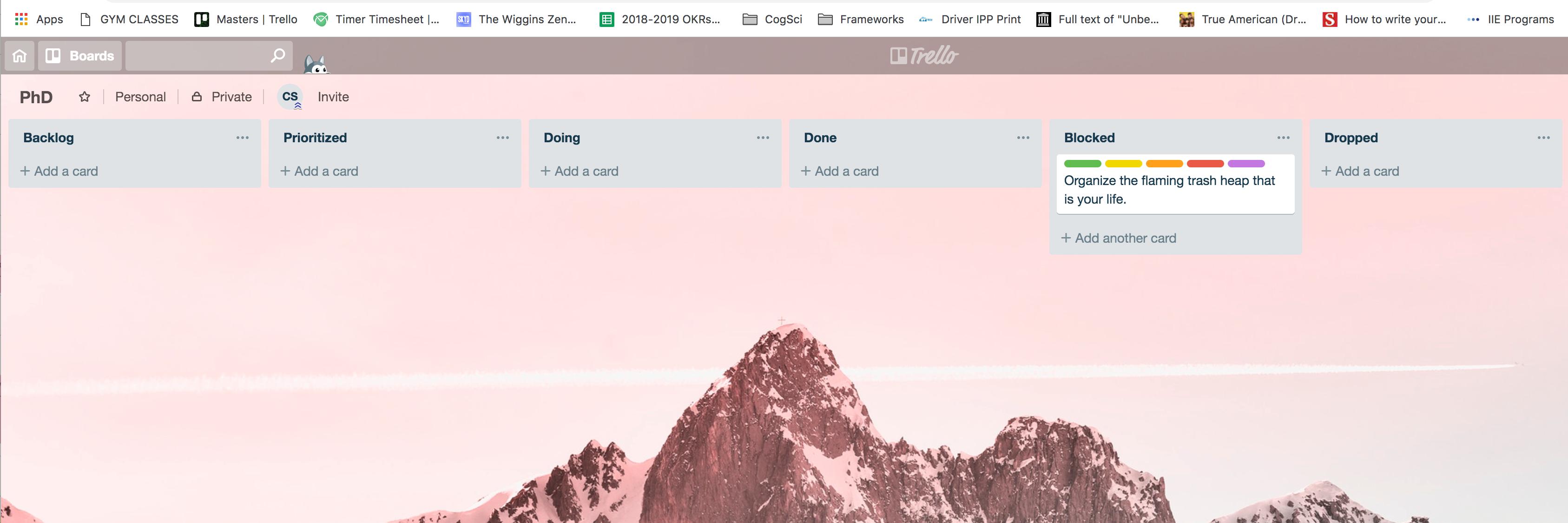 Carolyn Saund banner