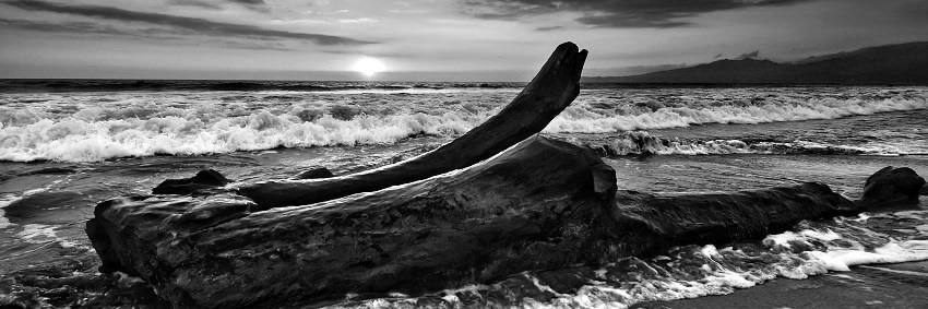 PaulRobel's profile banner image