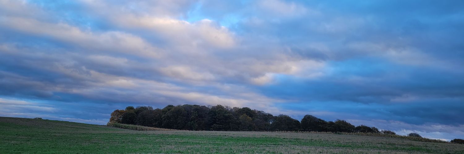 libsmerrylees's profile banner image
