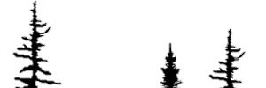 Jamie Jackman banner