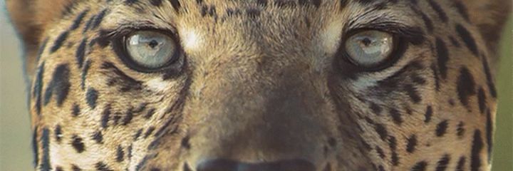 atmosfir5's profile banner image