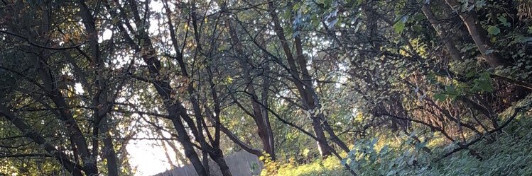 ImChinny09's profile banner image
