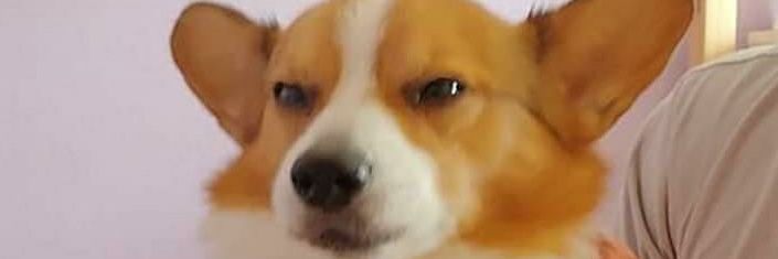 miltonsdecinza_'s profile banner image