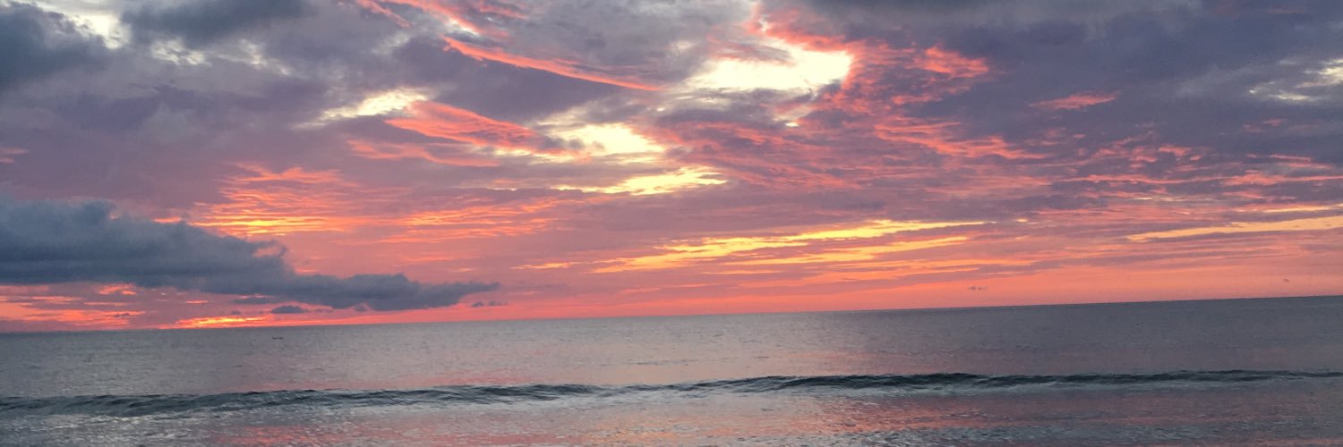 MSonnenday's profile banner image