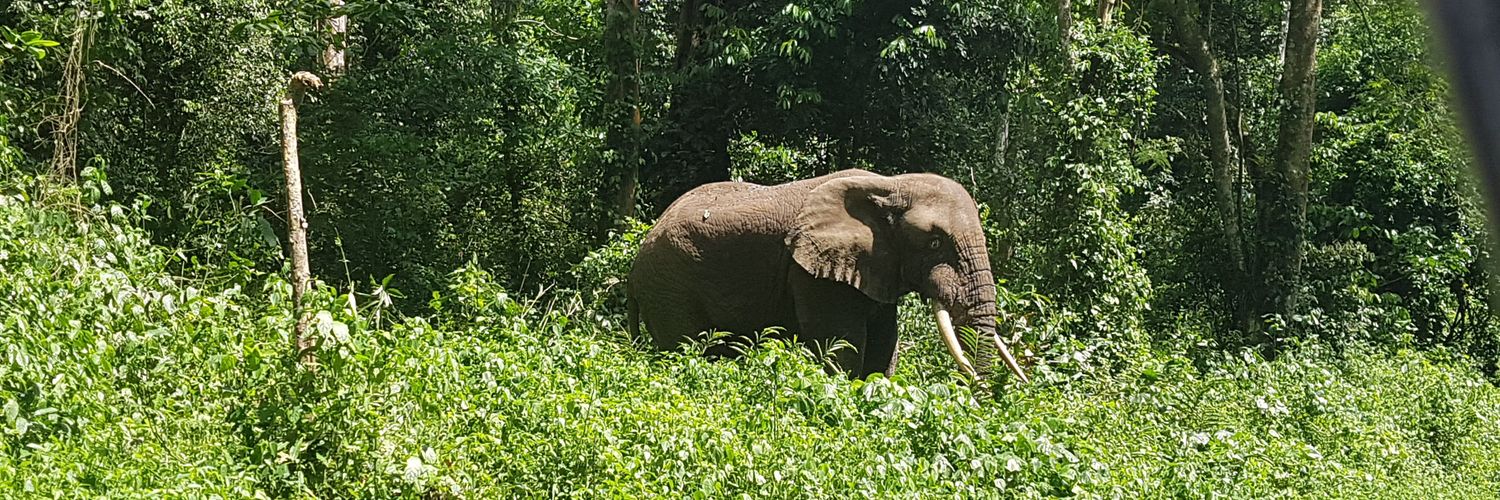 Derrian Bitature banner