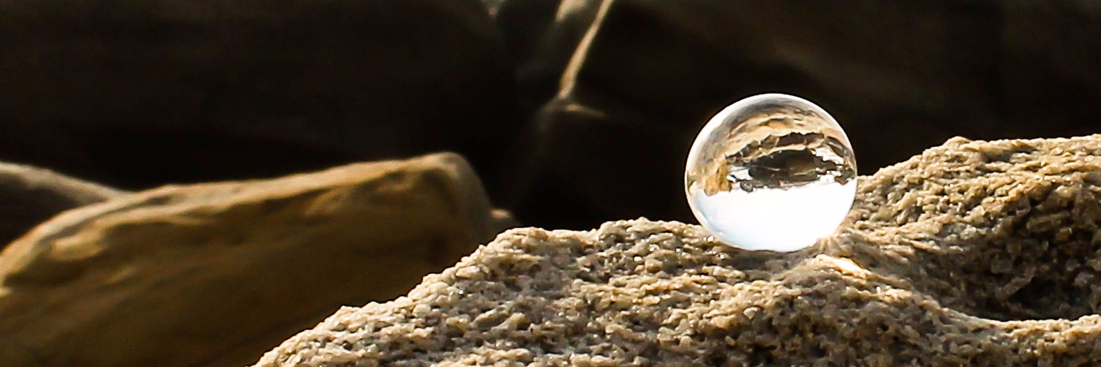 Lifes_Lense's profile banner image