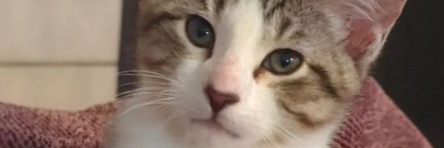 Jordan Gerblick banner