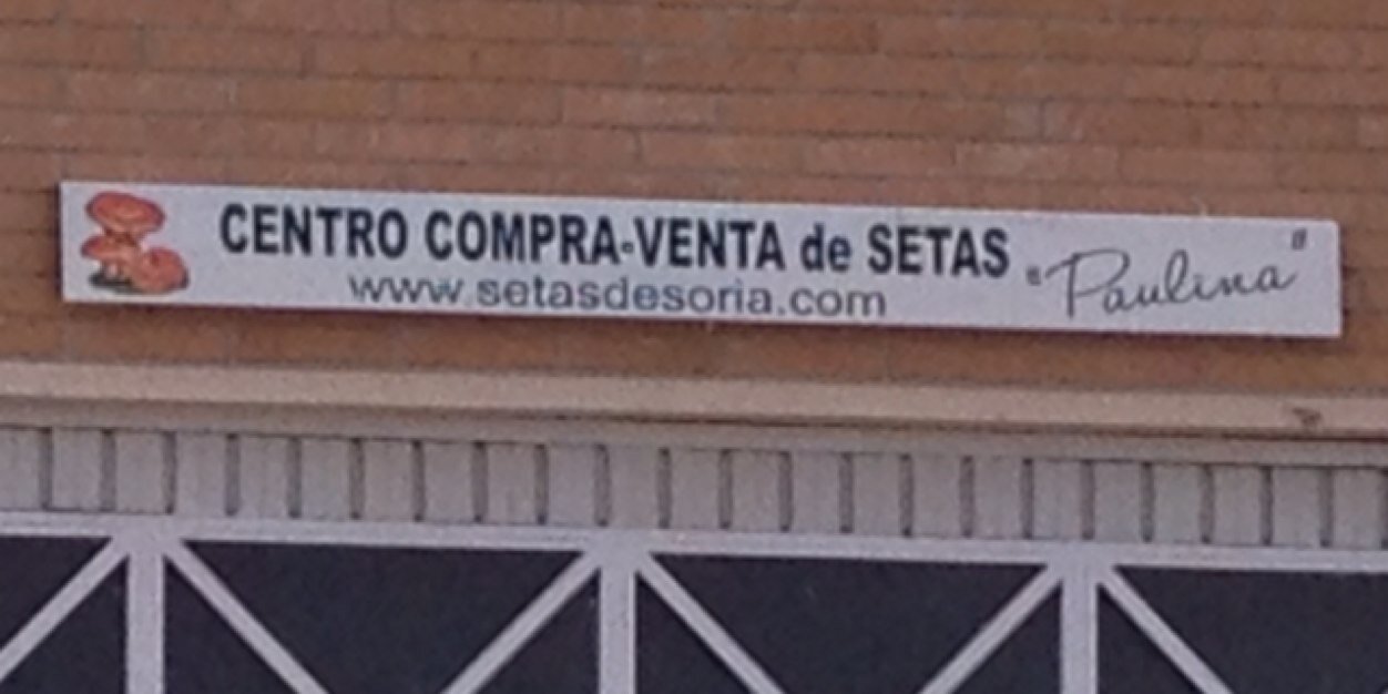 SETAS DE SORIA banner