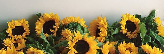 ohitsroh's profile banner image