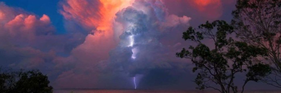 Andrew Holmes banner