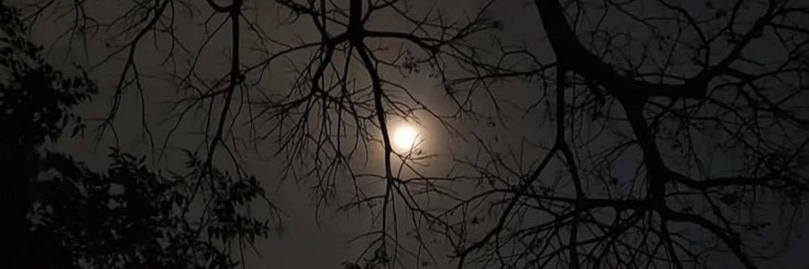 Heba . banner