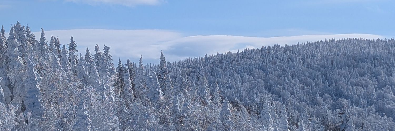 fowior98's profile banner image