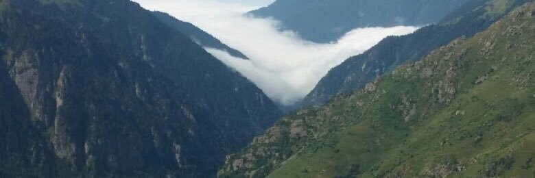 onewildmanone's profile banner image