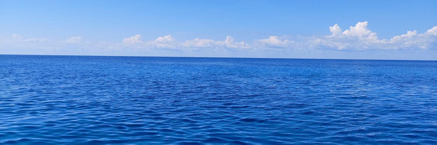 Pescado Rabioso 🐠🦈🐡🐳🐬 banner