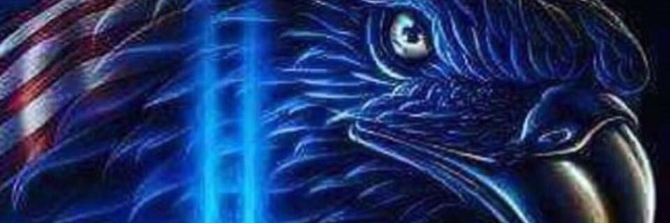 DavidMH1981's profile banner image