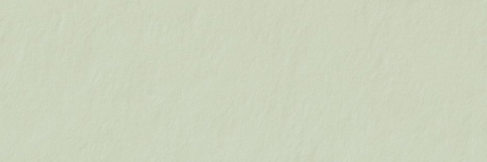 malvaRAWdoe's profile banner image