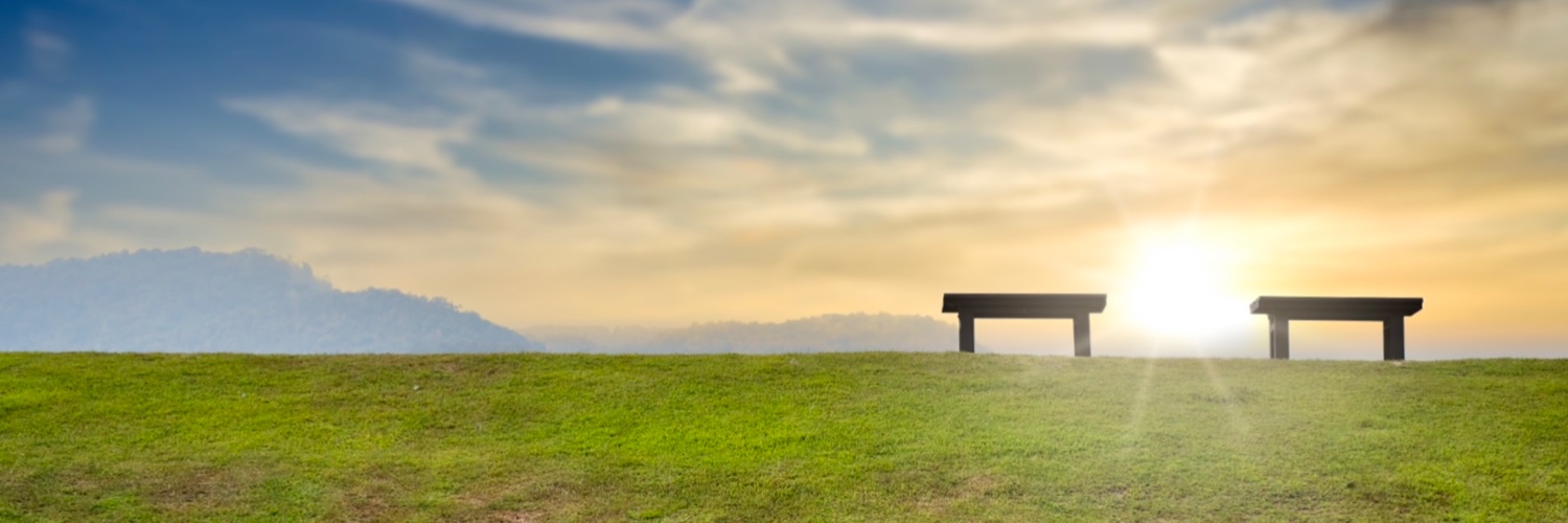 ⠝⠕⠉⠓⠊⠊ banner