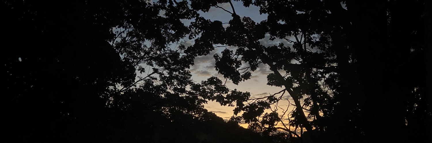 Adamp_56's profile banner image