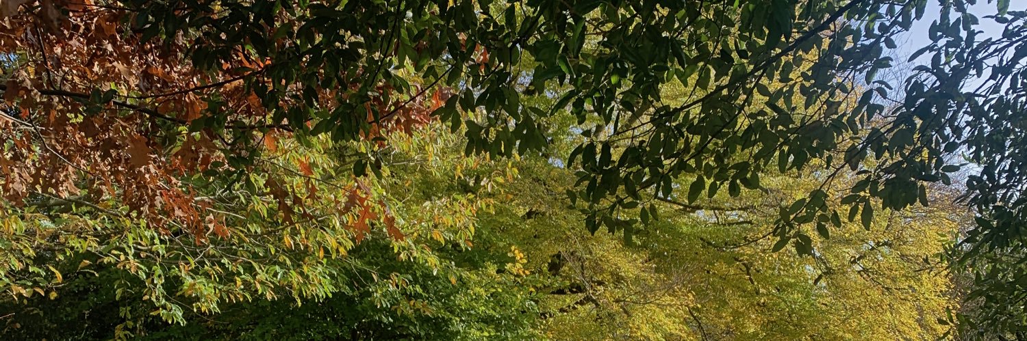 Will_Millar2's profile banner image