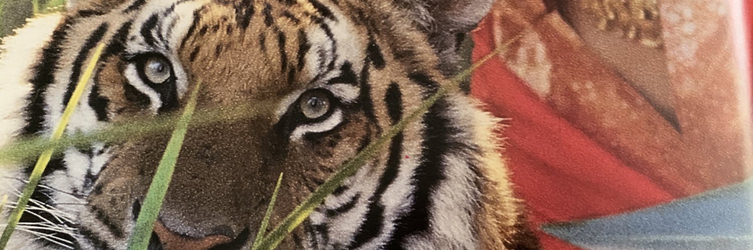 LeanneShane's profile banner image