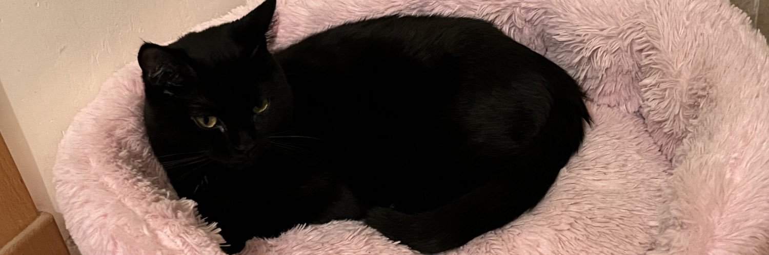 lauraa_canton's profile banner image