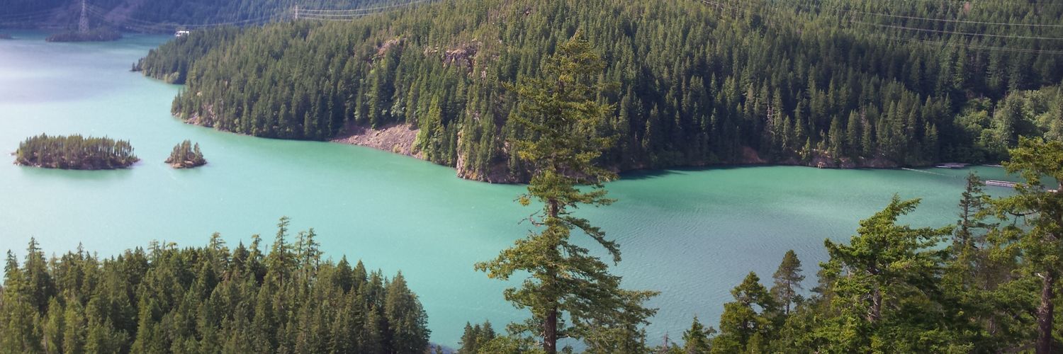TheCascadeLoop's profile banner image