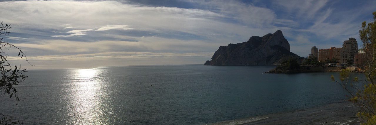 macniccolo 🐤 banner