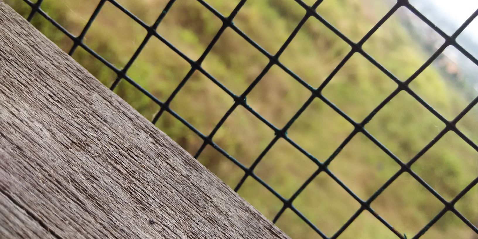 paririan's profile banner image