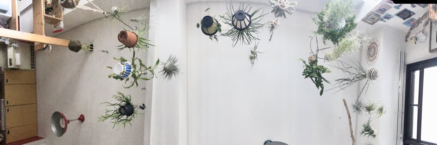 mn1118's profile banner image