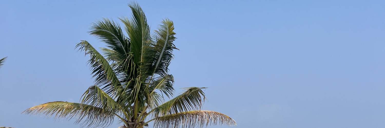Megan banner