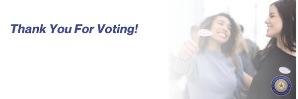 DallasElections Profile Banner