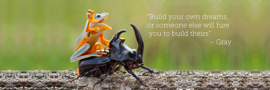 Solvay Entrepreneurs banner