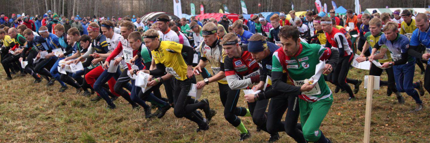 Halikko-viesti banner