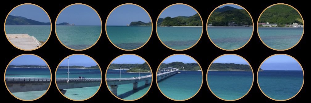 むっちりパパ banner