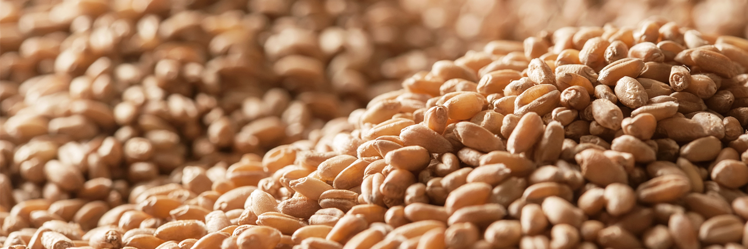 Commission canadienne des grains banner