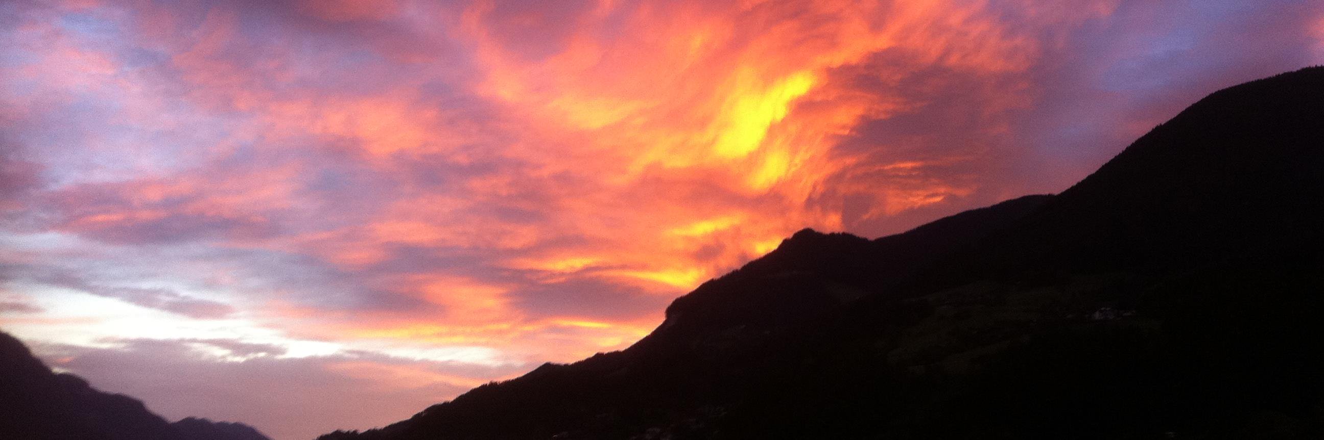 Susanne Edinger banner