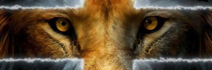 AngelJenkins09's profile banner image