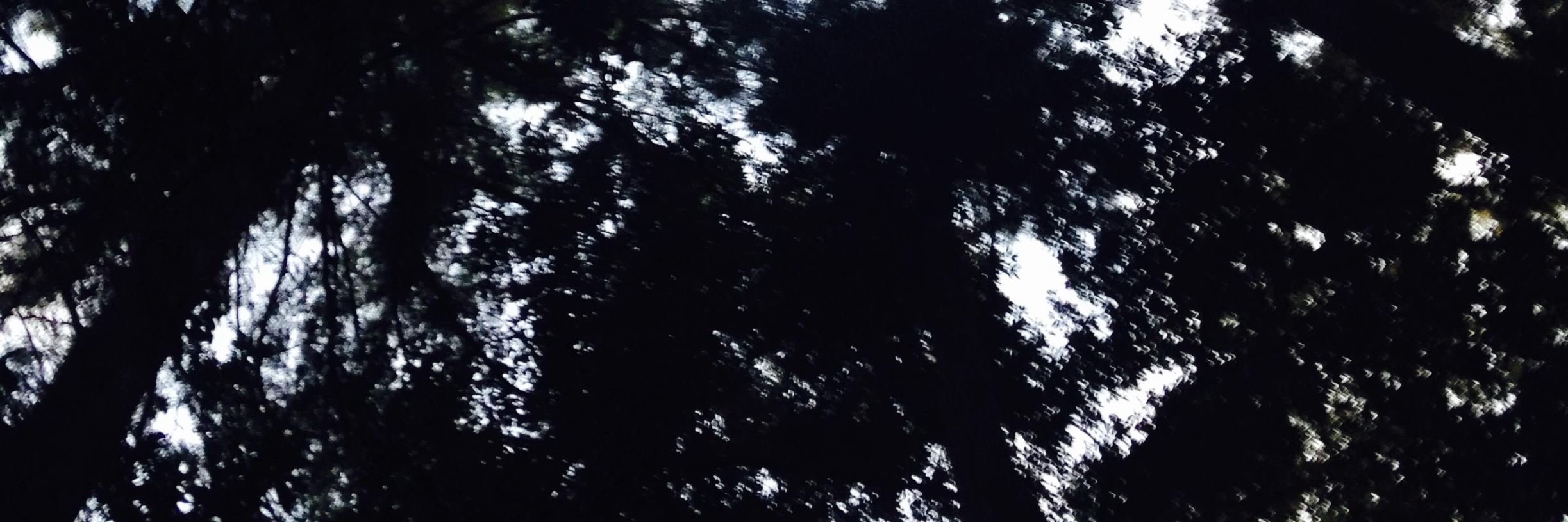 _shamon_'s profile banner image