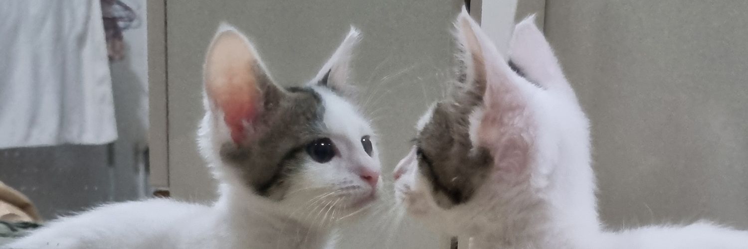 Quzmolla's profile banner image