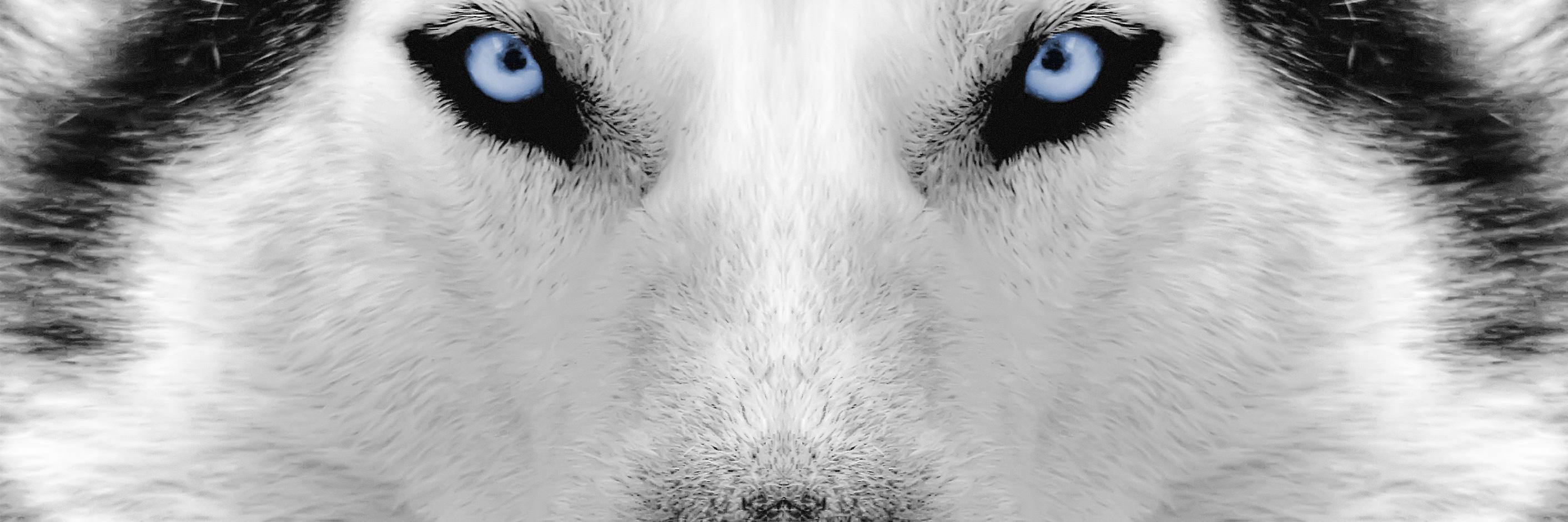 FabianMacavity's profile banner image