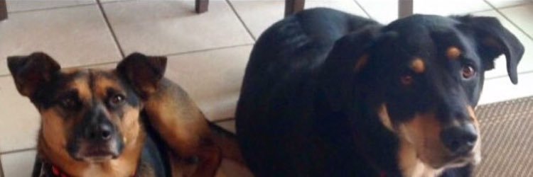 jsand88's profile banner image