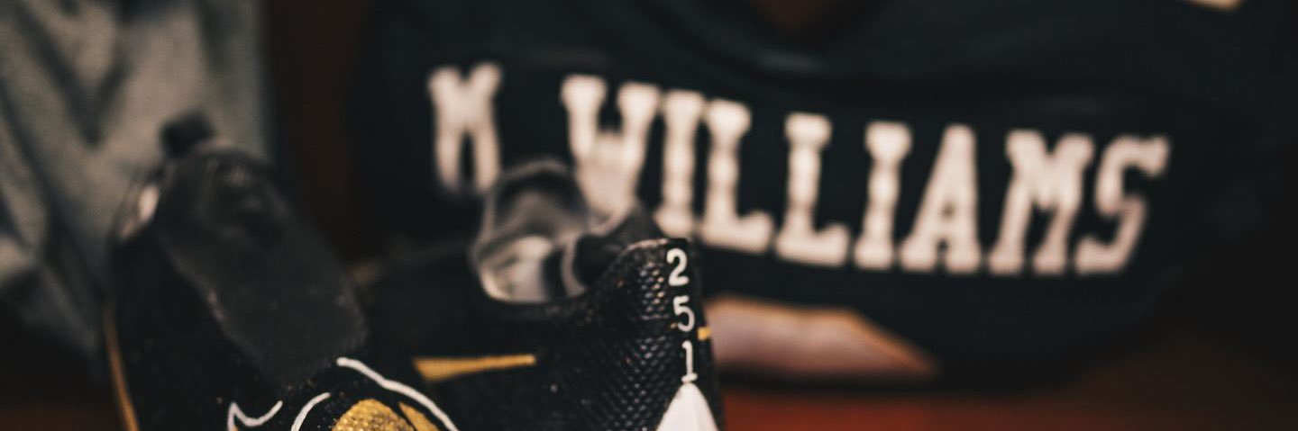 Marlon Williams's banner