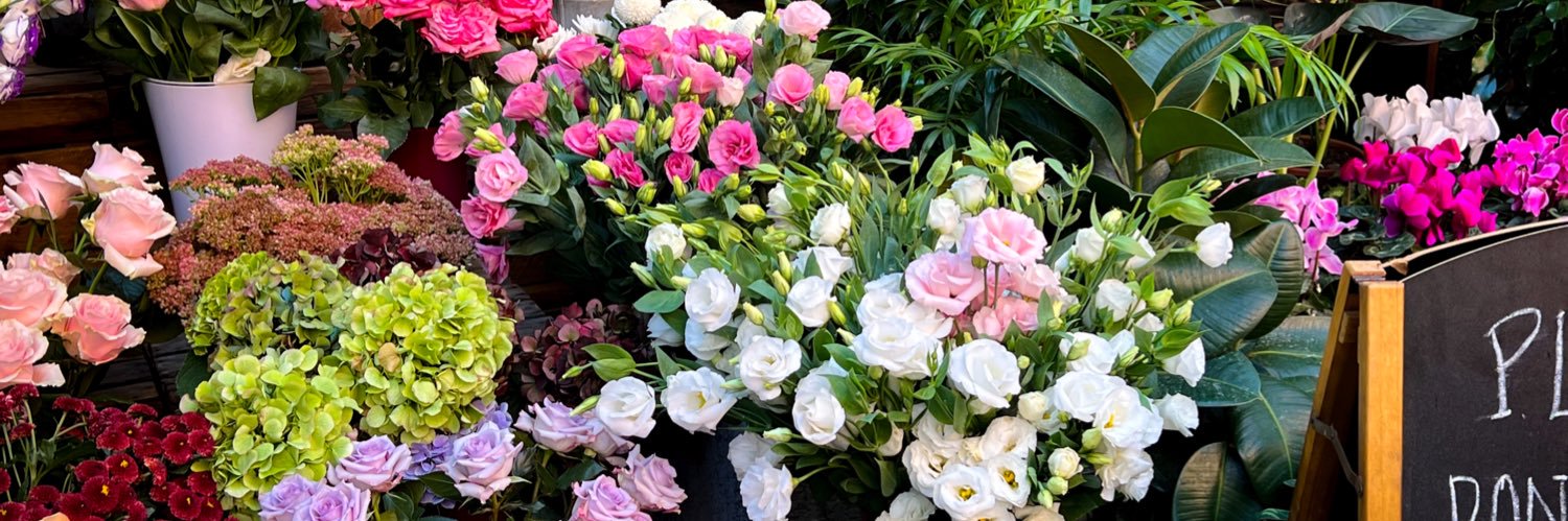 📹📹📹 El Creador banner