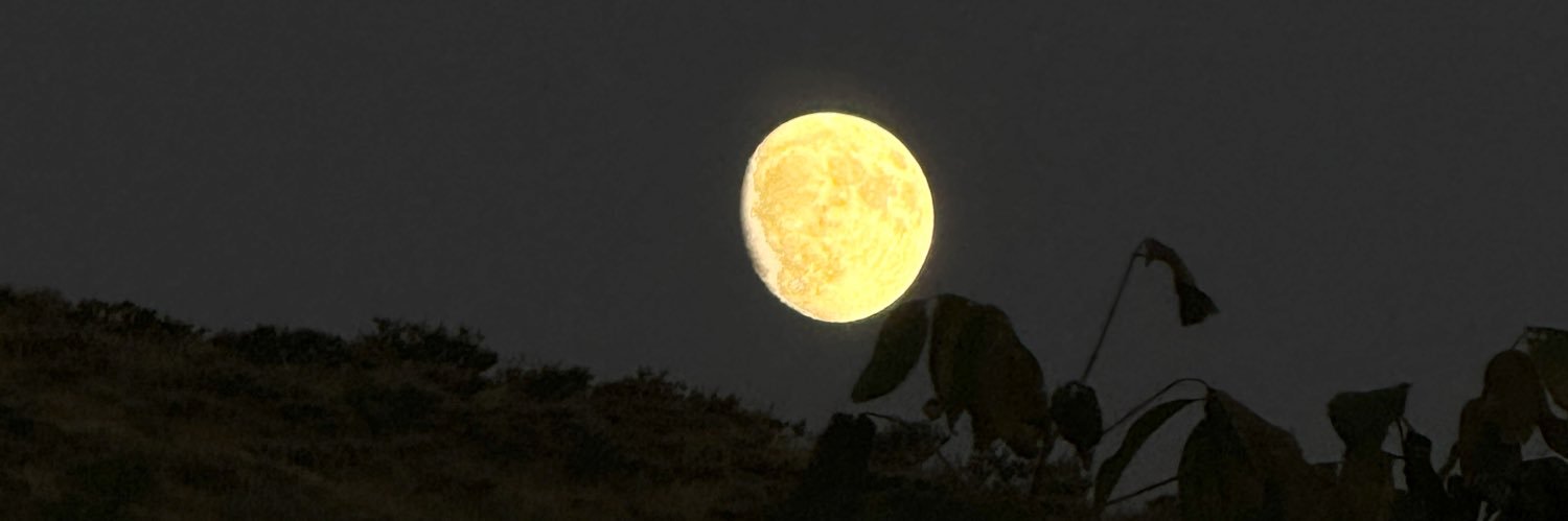 mavimorphot's profile banner image