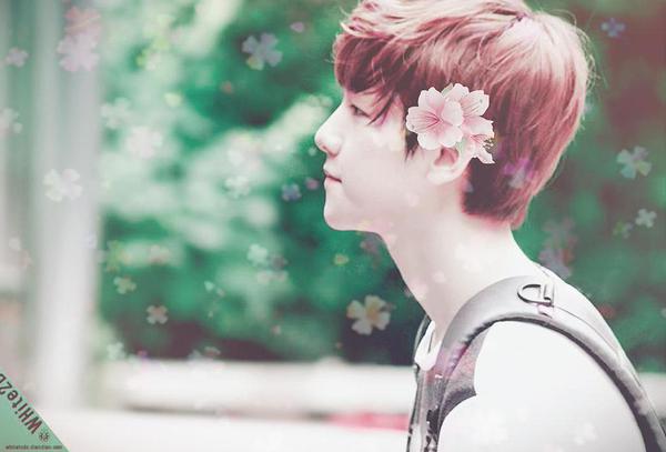 exo_bek's profile banner image