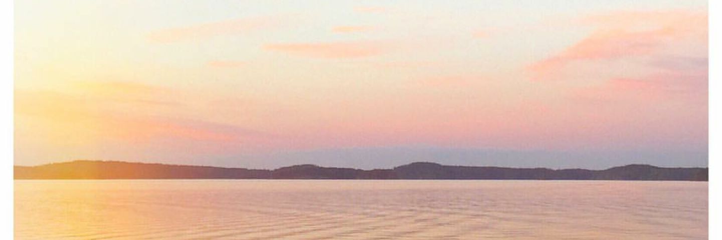 Tinkerbellrose9's profile banner image