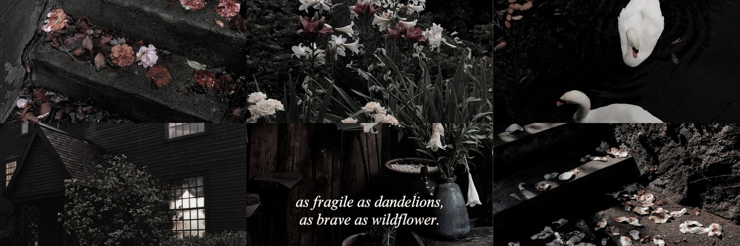 𝗐𝗂𝗍𝗁 𝗅𝗈𝗏𝖾, 𝖶. banner